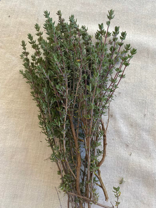 Thyme (St.Andrew)